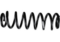 SACHS Plume 994 858
