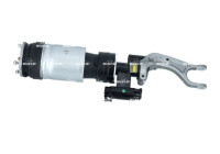 jambe de force pneumatique