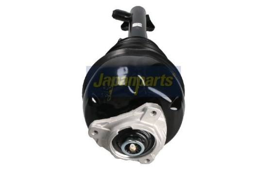 jambe de force pneumatique, Image 2