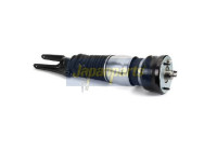 jambe de force pneumatique