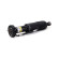 jambe de force pneumatique, Vignette 3