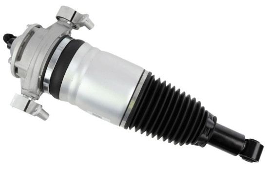 jambe de suspension pneumatique, Image 2