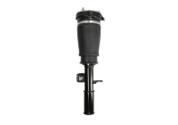 jambe de suspension pneumatique