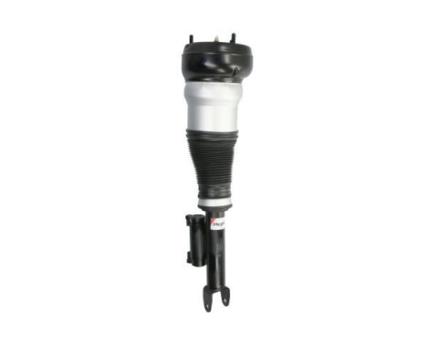 jambe de suspension pneumatique