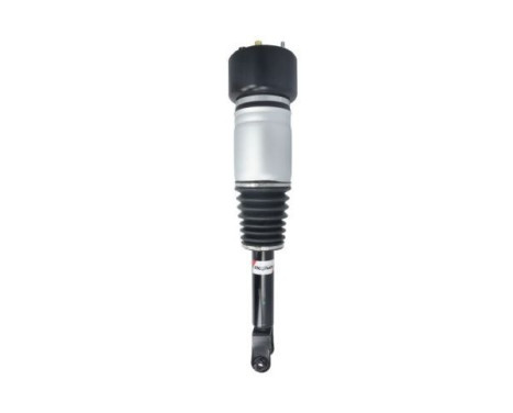 jambe de suspension pneumatique