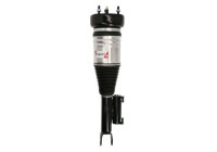 jambe de suspension pneumatique