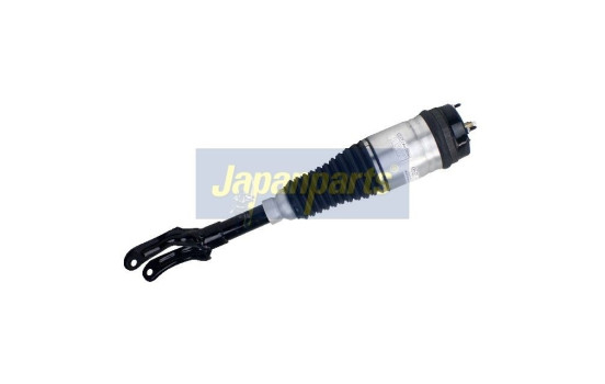 Jambe pneumatique, Image 2