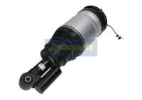 Jambe pneumatique
