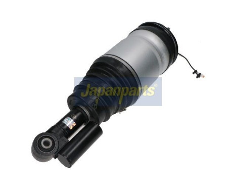 Jambe pneumatique
