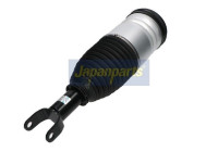 Jambe pneumatique