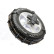 Spikes Spider Easy sport 2