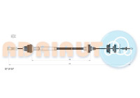 Cable d'embrayage