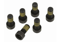 Jeu de vis, accouplement 1874 000 089 Sachs