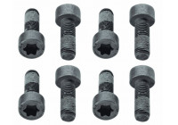 Visserie, volant moteur 1874 000 010 Sachs