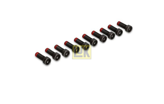 Visserie, volant moteur 411 0139 10 LUK