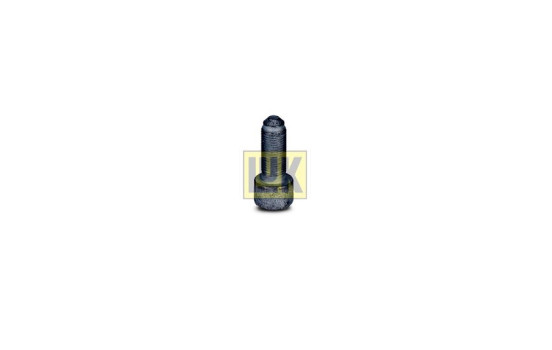 Visserie, volant moteur 411 0150 10 LUK, Image 2