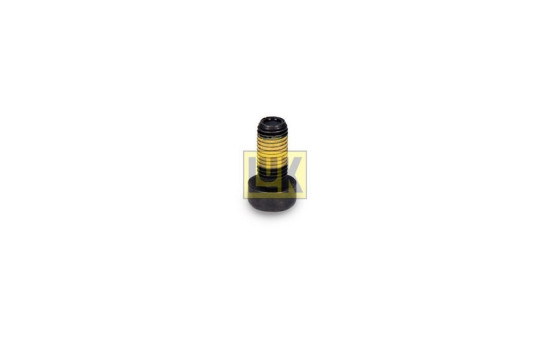 Visserie, volant moteur 411 0199 10 LUK, Image 3