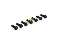Visserie, volant moteur 411 0253 10 LUK