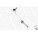 Barre stabilisatrice L28612 Monroe, Vignette 3