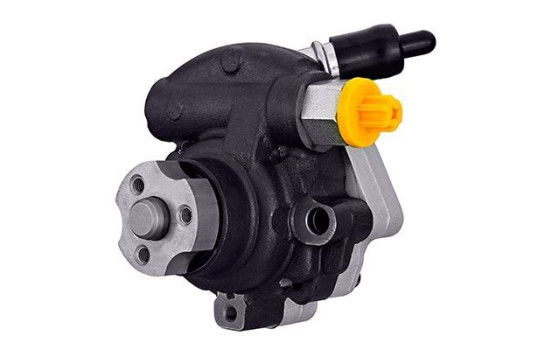 Pompe servo