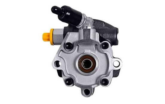 Pompe servo, Image 3