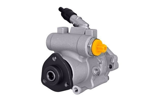 Pompe servo