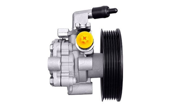 Pompe servo, Image 2