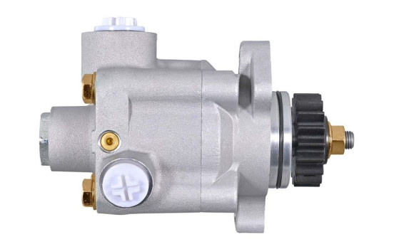 Pompe servo, Image 2