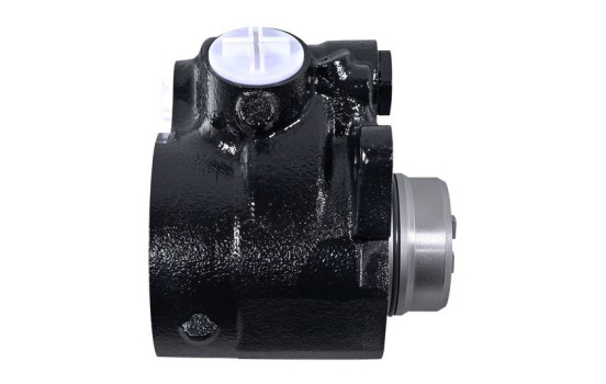 Pompe servo, Image 2
