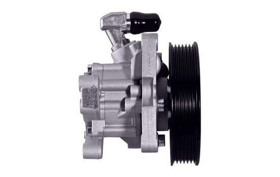 Pompe servo, Image 2