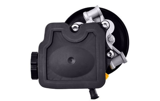 Pompe servo, Image 3