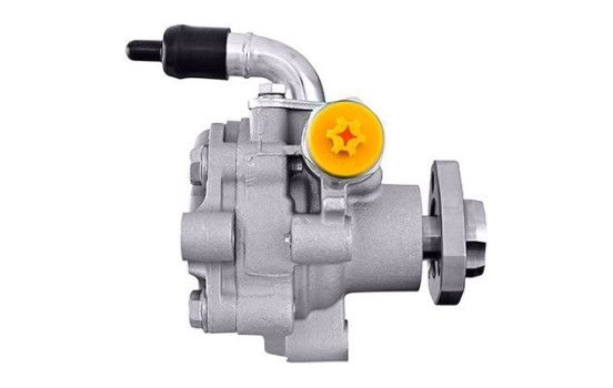 Pompe servo, Image 2