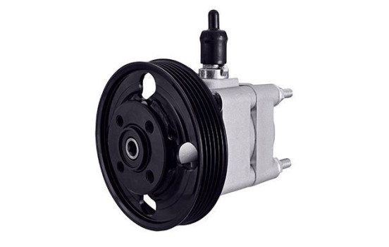 Pompe servo
