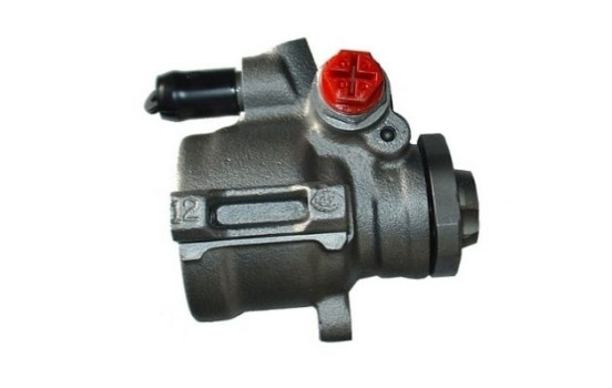 servopompe, Image 3