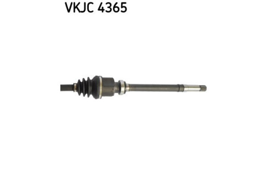 Arbre de transmission VKJC 4365 SKF, Image 4
