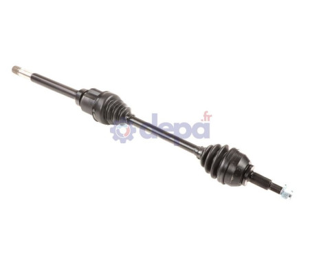 FIAT / NISSAN / OPEL / RENAULT D