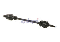 RENAULT ABS D