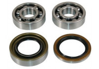 Roulement de roue 200070 ABS