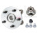 Roulement de roue 713 6215 20 FAG, Vignette 2
