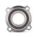 Roulement de roue BSG 15-605-019, Vignette 2