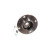 Roulement de roue VKBA 3659 SKF, Vignette 4