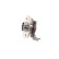 Roulement de roue VKBA 3674 SKF, Vignette 2