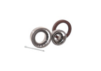 Roulement de roue VKBA 523 SKF