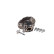 Roulement de roue VKBA 6627 SKF, Vignette 2