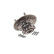 Roulement de roue VKBA 7086 SKF