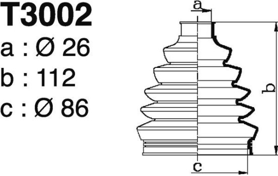AUDI, Image 2