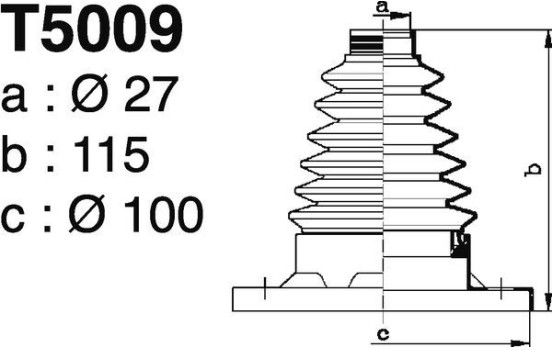 AUDI, Image 2