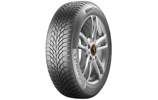 Continental Ts-870 195/45 R17 81H