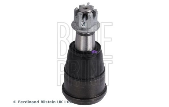 rotule ADBP860281 Blue Print