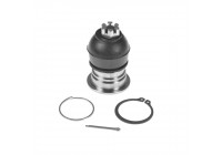 Rotule de suspension ADH286138 Blue Print